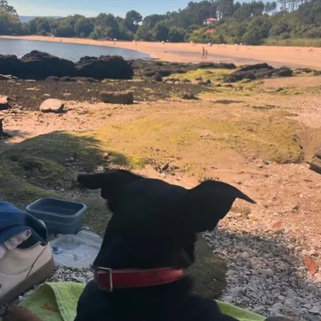 Appartement The Rianxeira