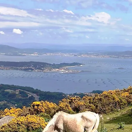 Appartement The Rianxeira *