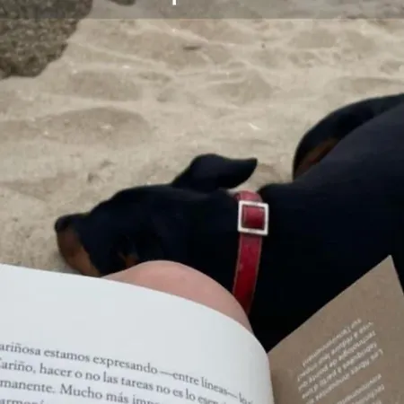 Appartement The Rianxeira