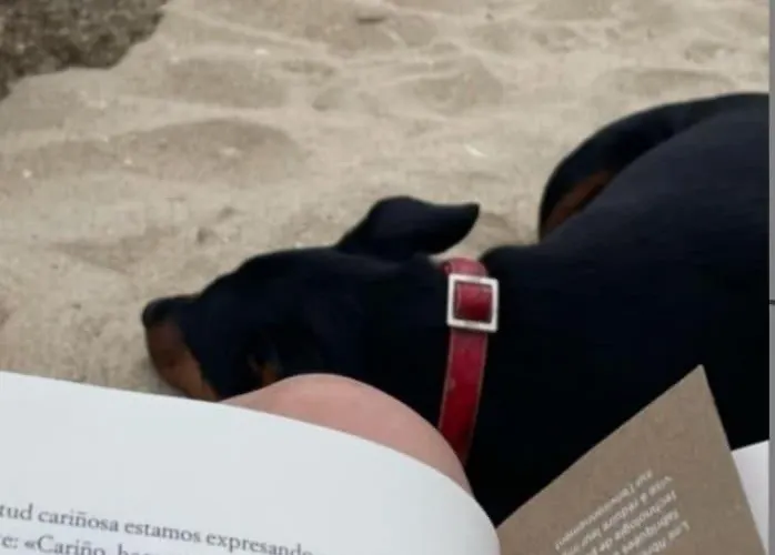 Apartmán The Rianxeira